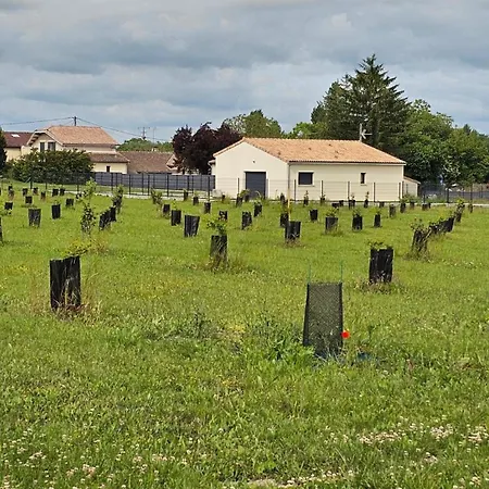 Casa vacanze ꕥ Maison Tuber, Havre De Paix Proche De Jonzac Saint-Ciers-Champagne